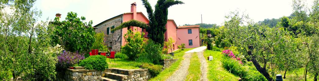 Agriturismo Brasino